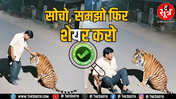 MP News | बाघ का सिर सहलाया शराब ऑफर की; Viral Video की सच्चाई जानकर उड़ जाएंगे होश | Fact Check